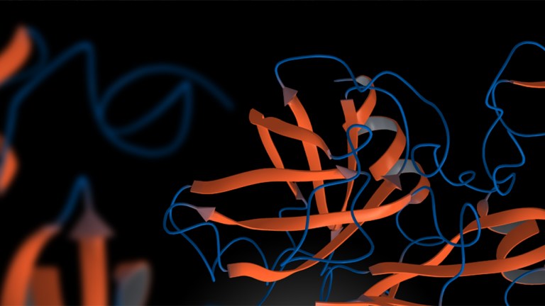 Reversing Eroom’s Law: can computers dramtically impact the productivity of drug discovery?