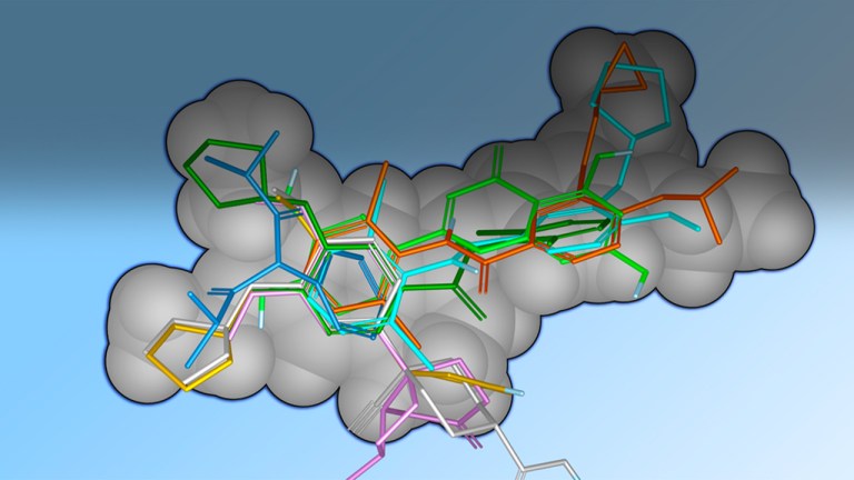 Shape-based screening
