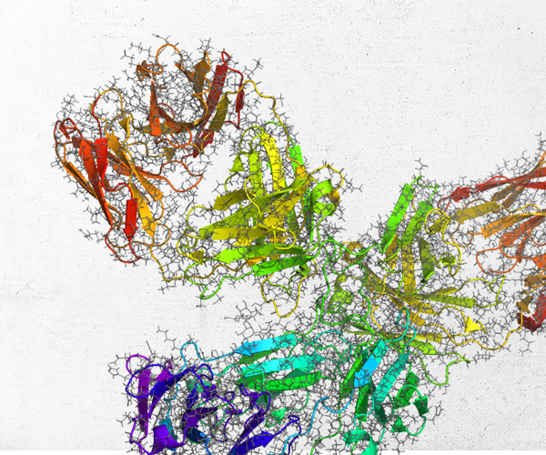 Design and Optimization of Biologics Driven by Physics-Based Computational Modeling