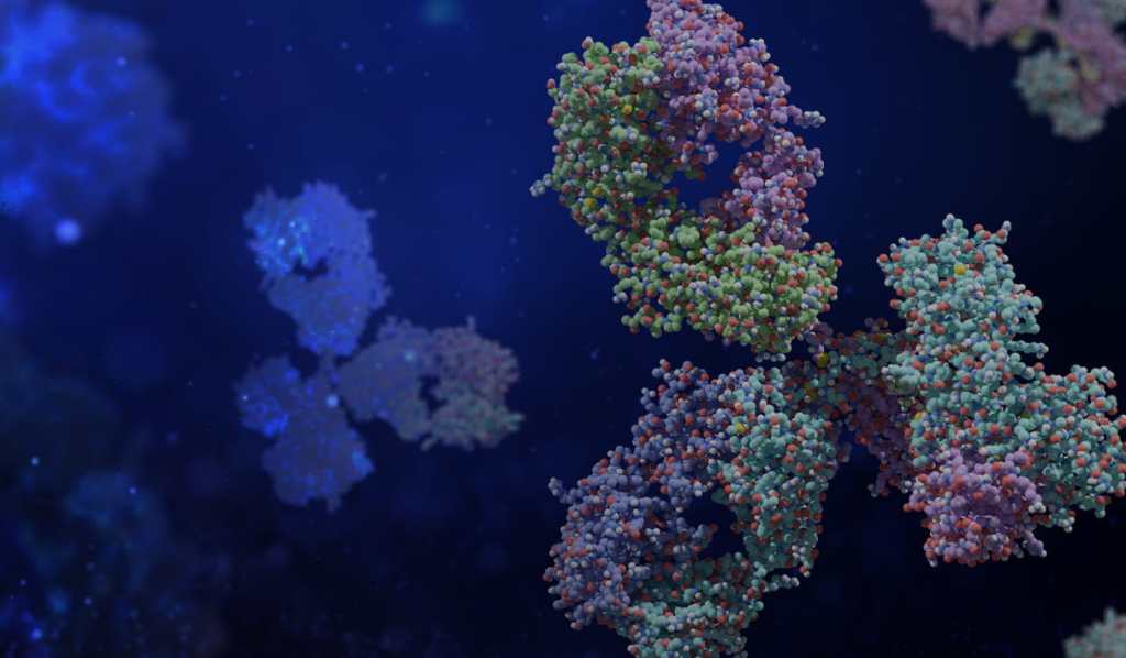 Introduction to Computational Antibody Engineering Course