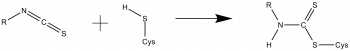 Custom Covalent Reactions_5