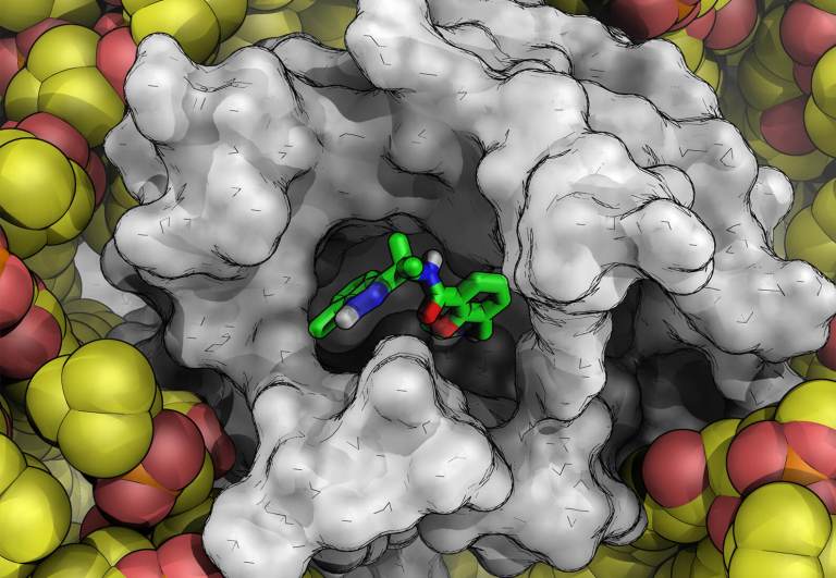 Can AlphaFold Models be Used for Structure-Based Drug Design? A Perspective Two Years In