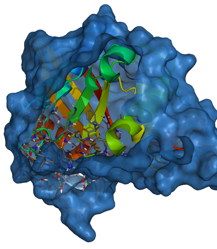 Peptide Discovery