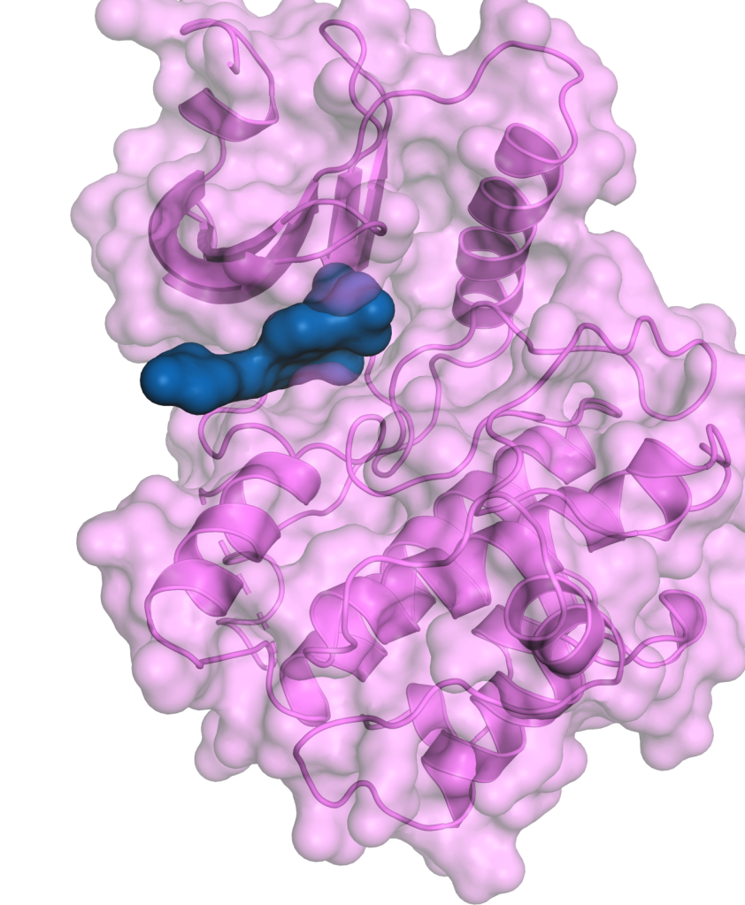 SGR-3515 (Wee1/Myt1)