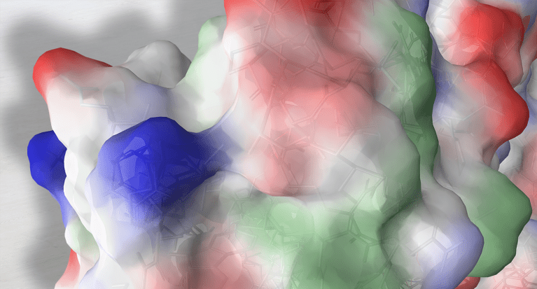 Aggregation prediction with protein surface analyzer