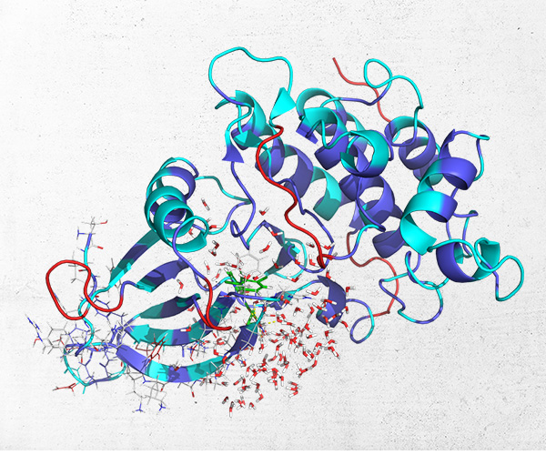 Schrödinger デジタル創薬セミナー:  Free Energy Calculations beyond Small Molecule Binding: Predicting Antibody Affinity, pH Sensing, Receptor Functional Response and More