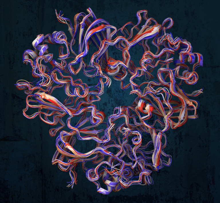 Beyond AI: The importance of physics-based simulations in next generation food design
