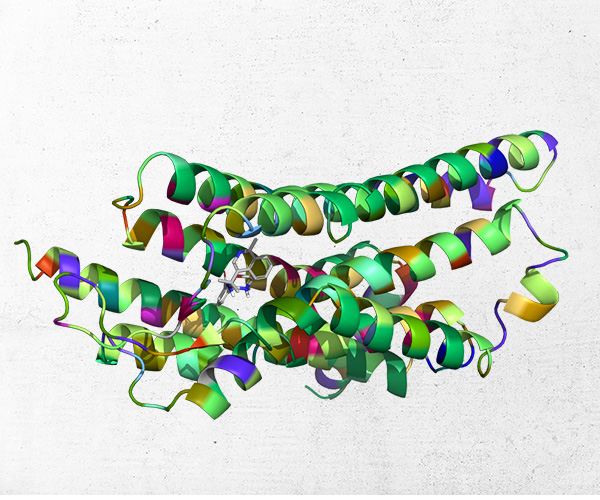 The Predict-First Paradigm: How Digital Chemistry is Shaping the Future of Drug Discovery 预测优先范式： 数字化学如何塑造药物发现的未来