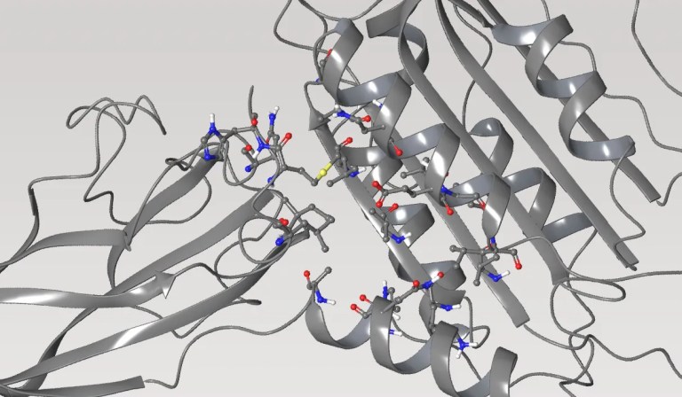 Hit to development candidate in 10 months: Rapid discovery of a novel, potent MALT1 inhibitor