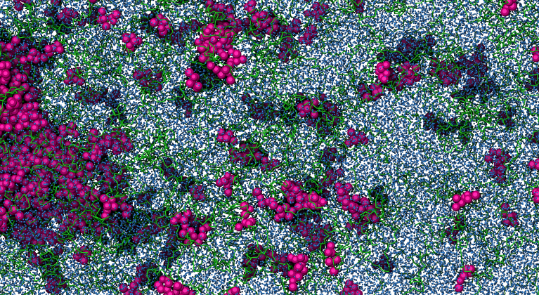 難溶性薬物の放出メカニズムを解明する – ASD研究の新たなアプローチModelling amorphous solid dispersion (ASD) release mechanisms