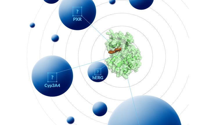 Is structure-based drug design and toxicology ready for ion channels and transporters?